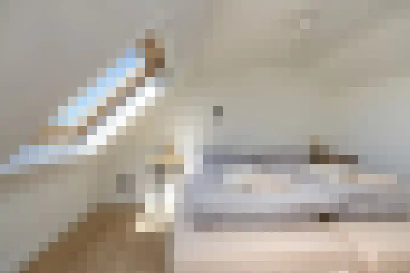 Krommedijk 5 Klarenbeek thumbnail 30
