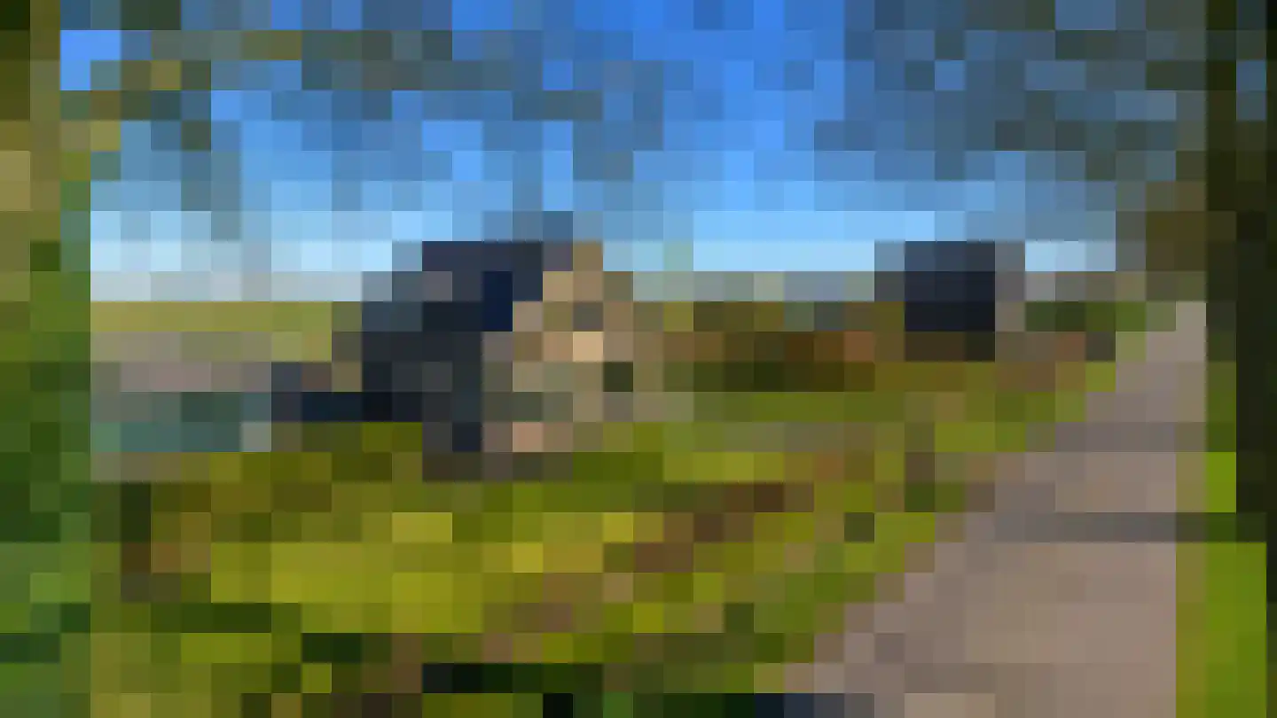 Krommedijk 5 Klarenbeek thumbnail 31