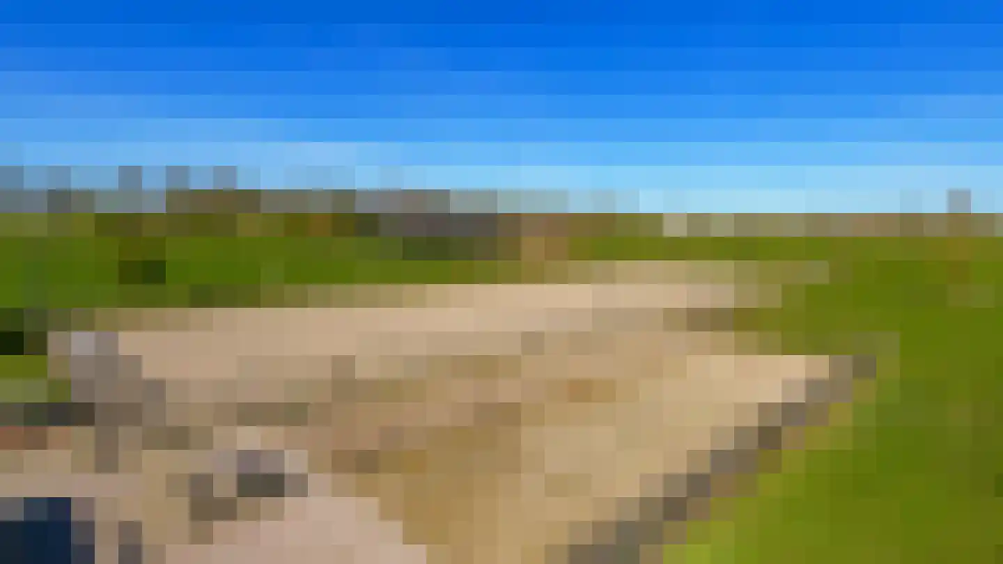 Krommedijk 5 Klarenbeek thumbnail 4