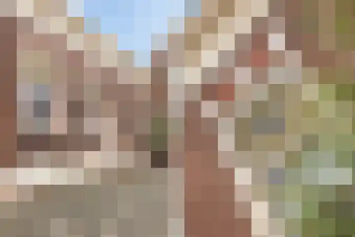 Krommedijk 50 Dordrecht thumbnail 8