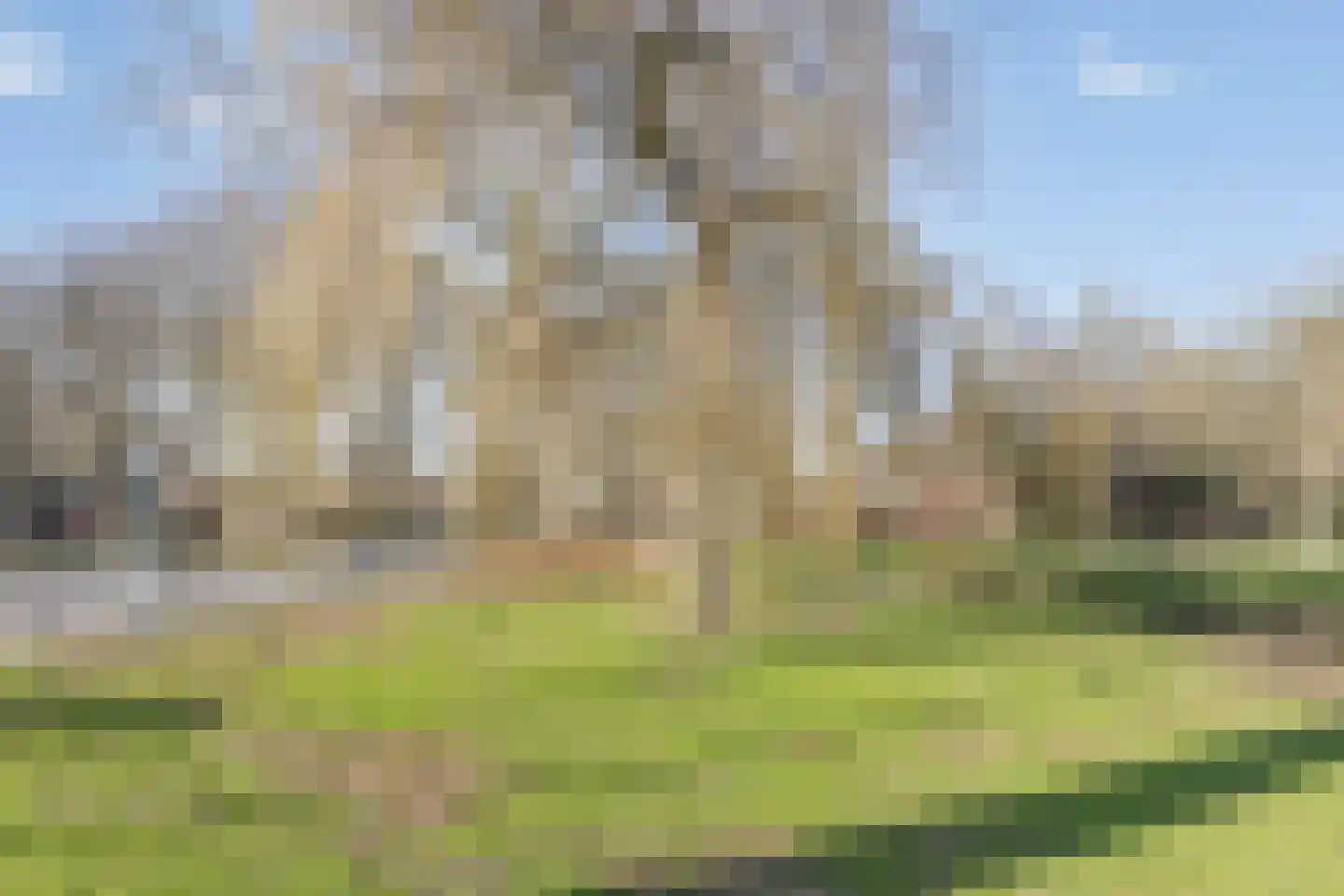 Krommedijk 55 Dordrecht thumbnail 21