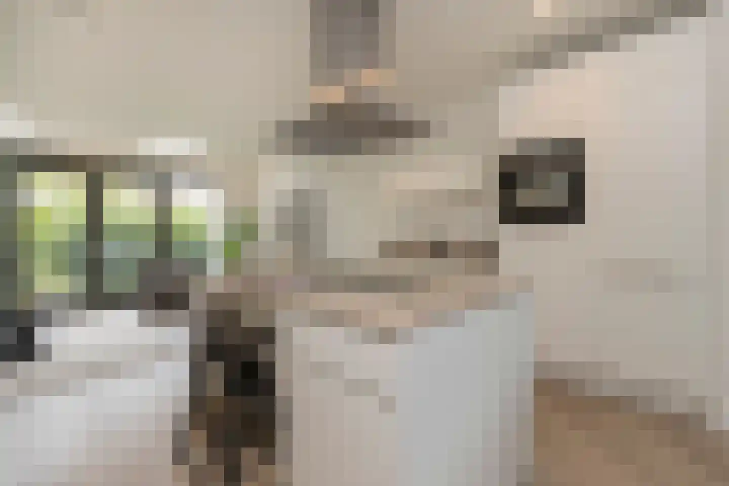 Krommehoekstraat 16 Amsterdam thumbnail 4