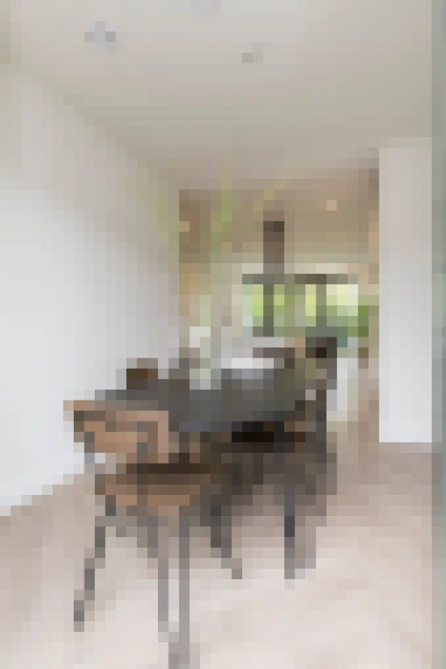 Krommehoekstraat 16 Amsterdam thumbnail 8