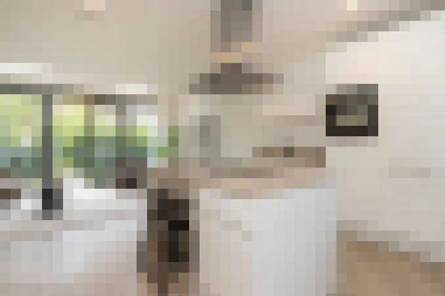 Krommehoekstraat 16 Amsterdam thumbnail 9