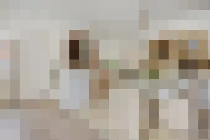 Krommehoekstraat 6 Beuningen Gld thumbnail 14