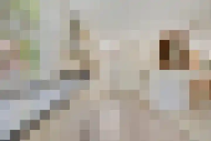 Krommehoekstraat 6 Beuningen Gld thumbnail 15