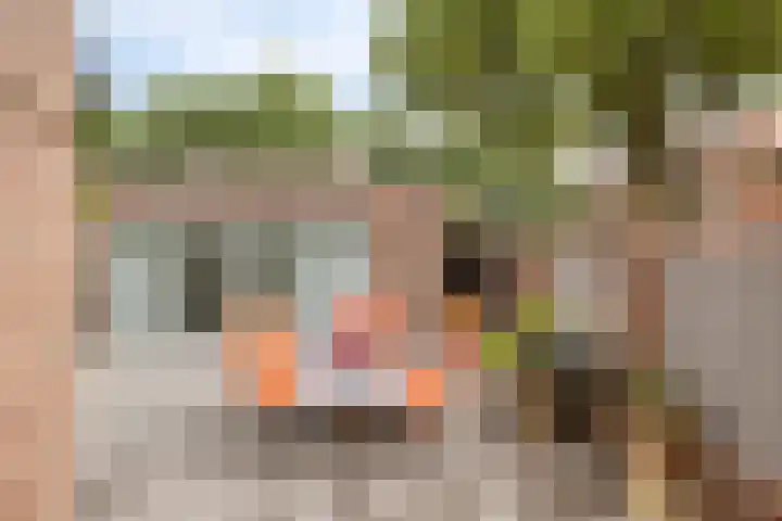 Krommehoekstraat 6 Beuningen Gld thumbnail 33