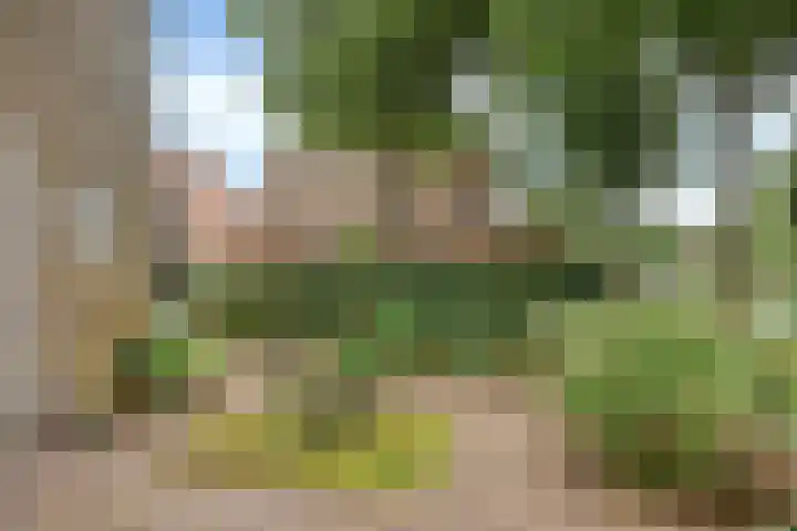 Krommehoekstraat 6 Beuningen Gld thumbnail 41