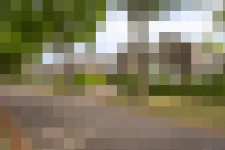 Krommehoekstraat 6 Beuningen Gld thumbnail 42