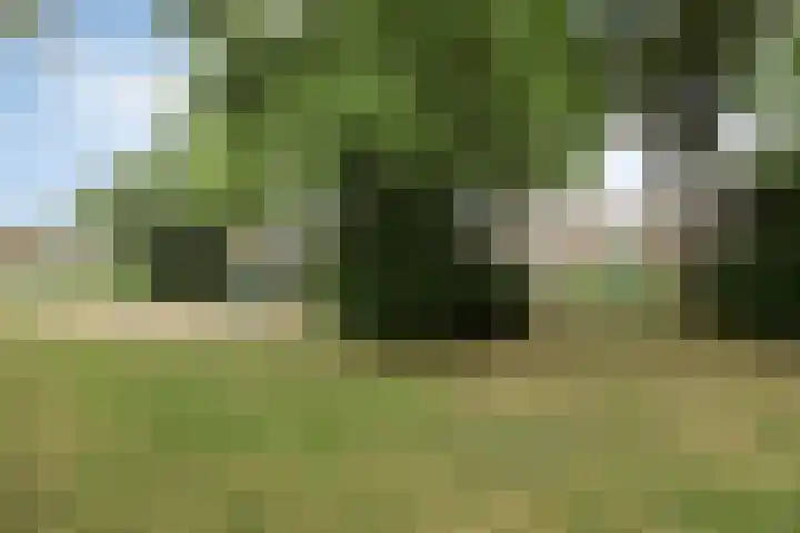 Krommehoekstraat 6 Beuningen Gld thumbnail 45