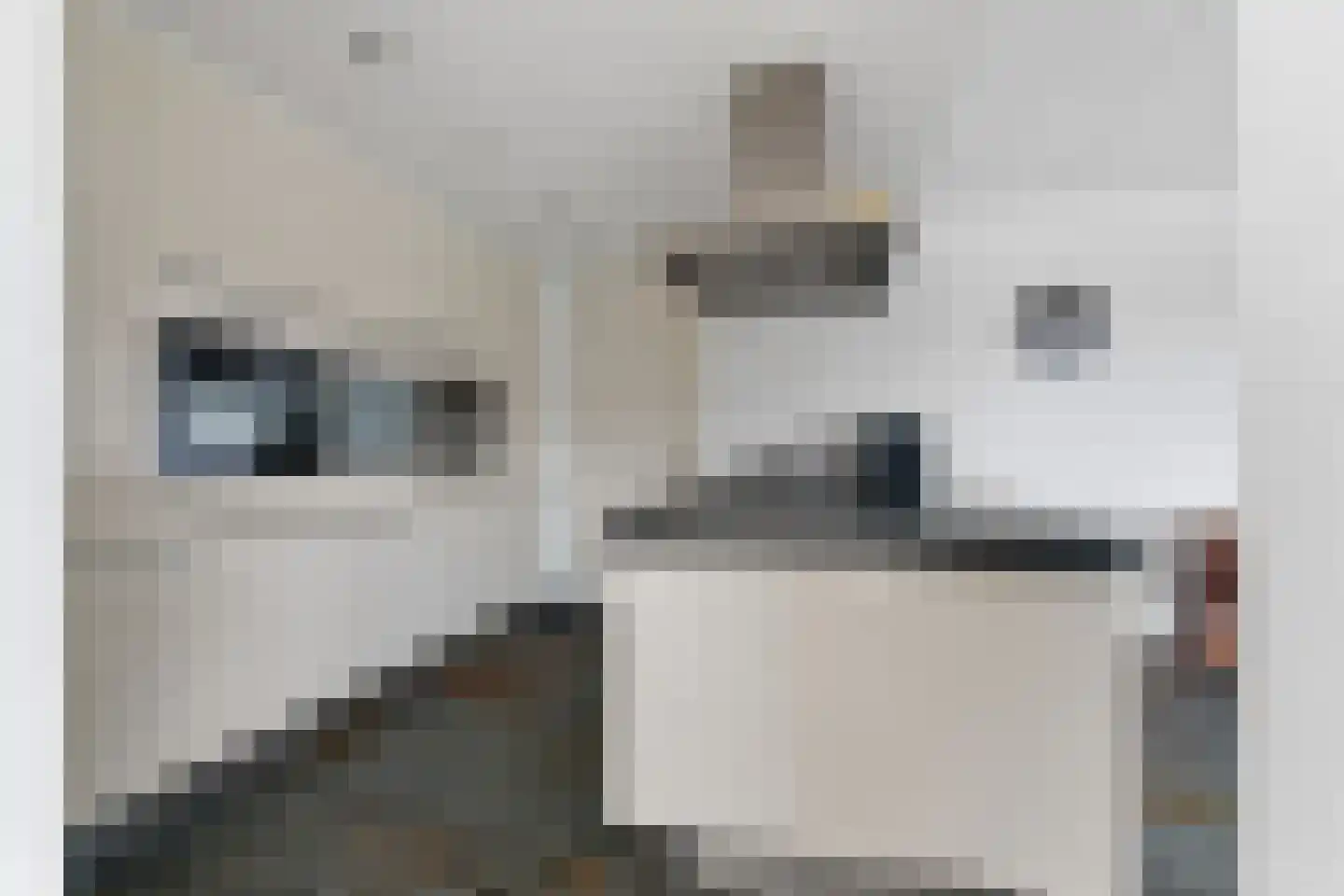 Krommehoekstraat 7 Beuningen Gld thumbnail 12