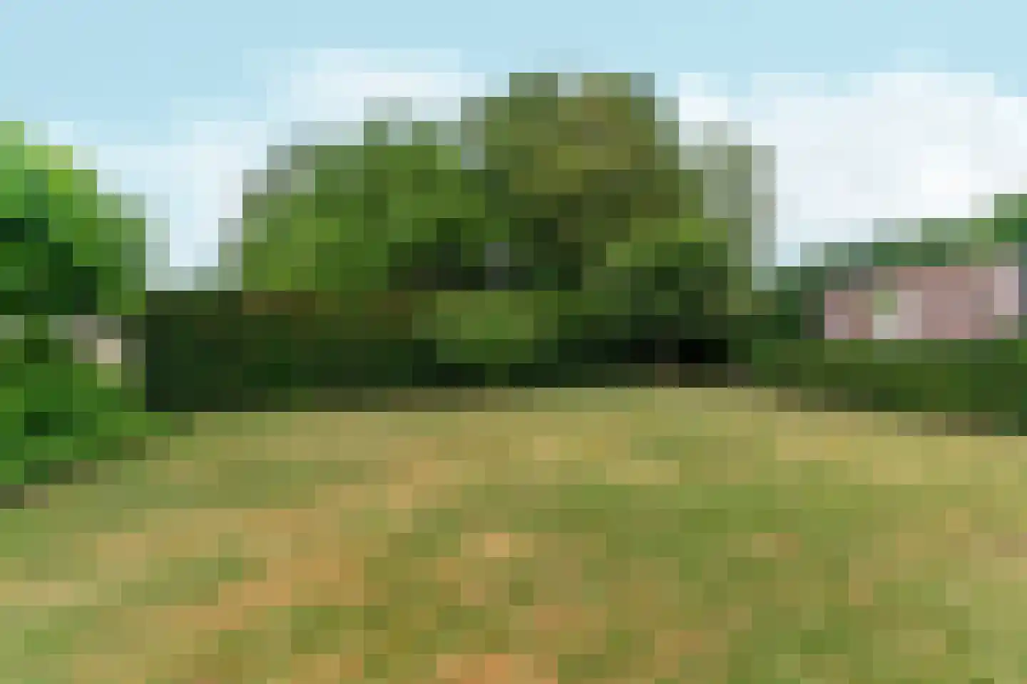 Krommehoekstraat 7 Beuningen Gld thumbnail 62