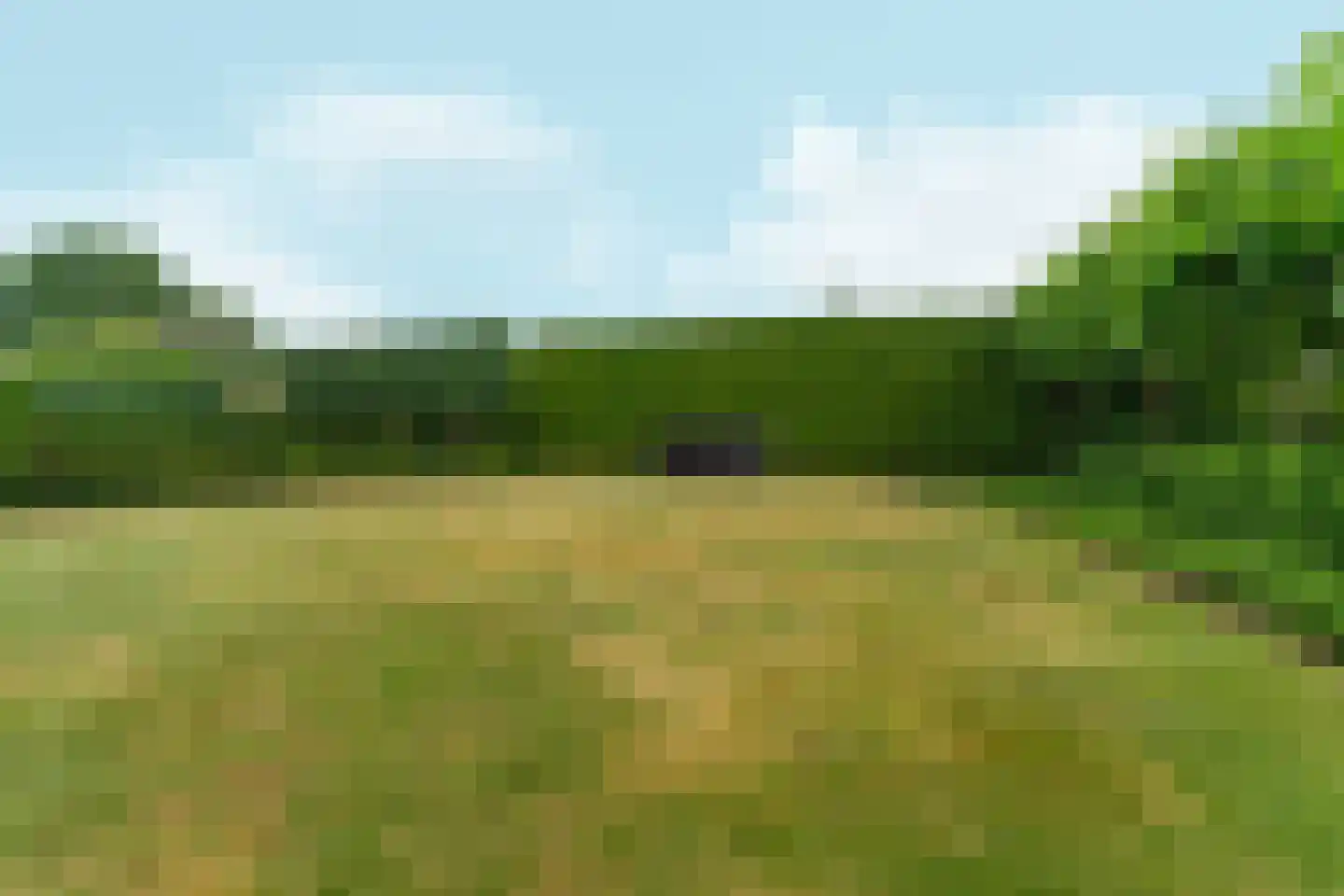 Krommehoekstraat 7 Beuningen Gld thumbnail 63