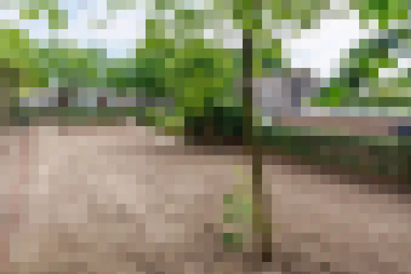 Krommehoekstraat 9 Beuningen Gld thumbnail 5