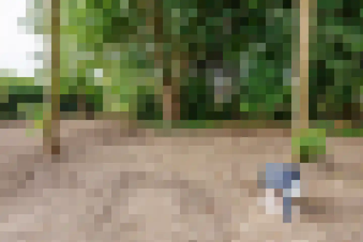Krommehoekstraat 9 Beuningen Gld thumbnail 6