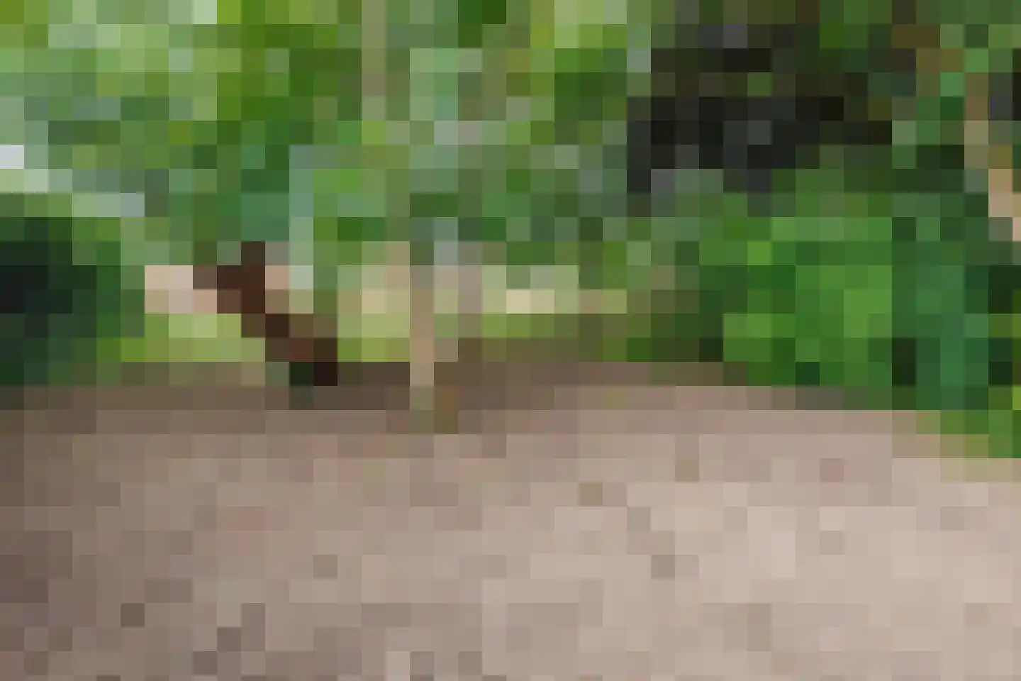 Krommehoekstraat 9 Beuningen Gld thumbnail 7