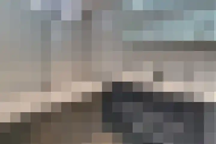 Krommekamp 118 Harderwijk thumbnail 29