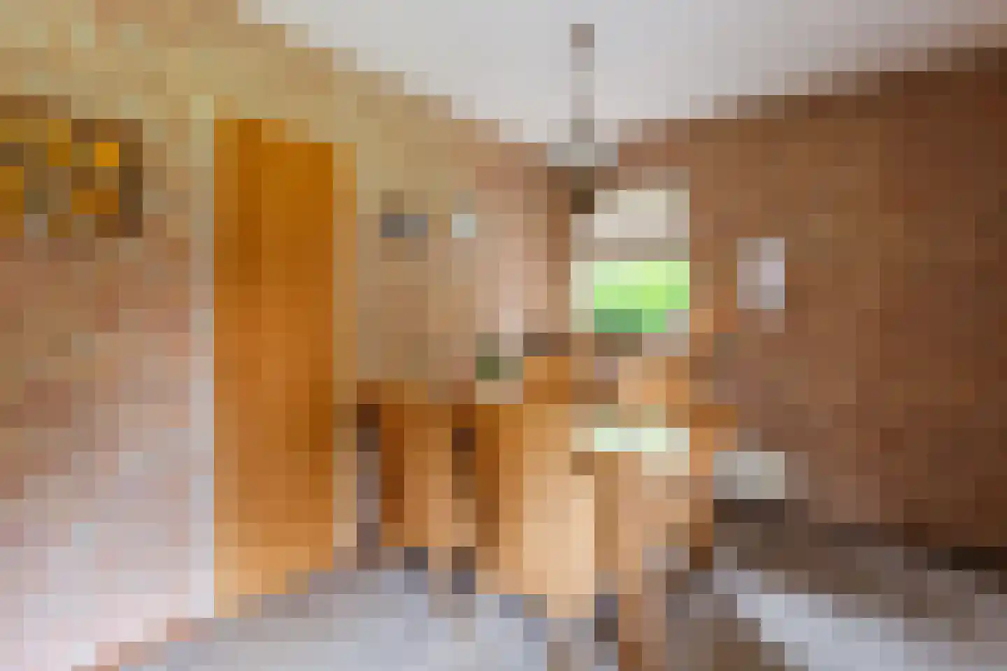 Krommekamp 314 Harderwijk thumbnail 17