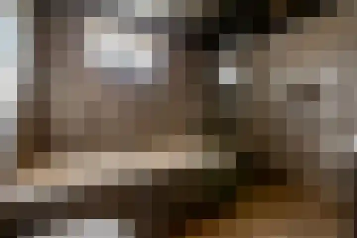 Krommekamp 320 Harderwijk thumbnail 23