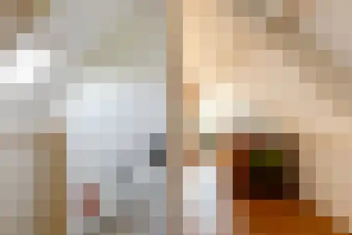 Krommekamp 320 Harderwijk thumbnail 28