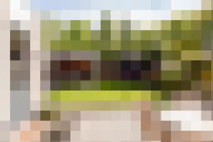 Krommekamp 320 Harderwijk thumbnail 29