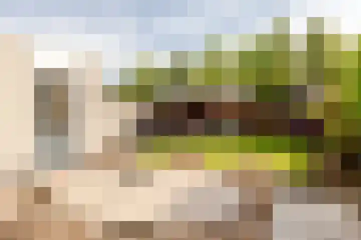 Krommekamp 320 Harderwijk thumbnail 30