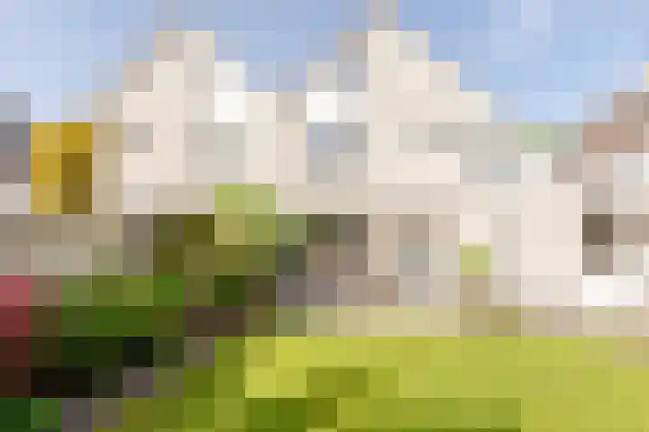Krommekamp 320 Harderwijk thumbnail 32