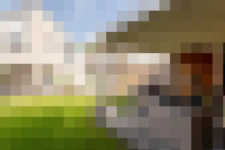 Krommekamp 320 Harderwijk thumbnail 33