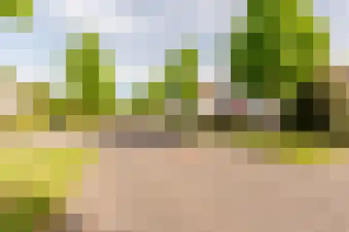 Krommekamp 320 Harderwijk thumbnail 38