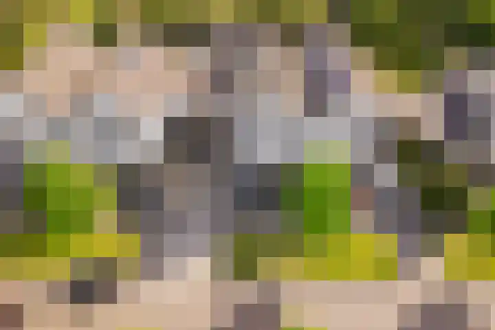 Krommekamp 320 Harderwijk thumbnail 41