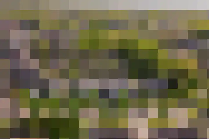 Krommekamp 320 Harderwijk thumbnail 42