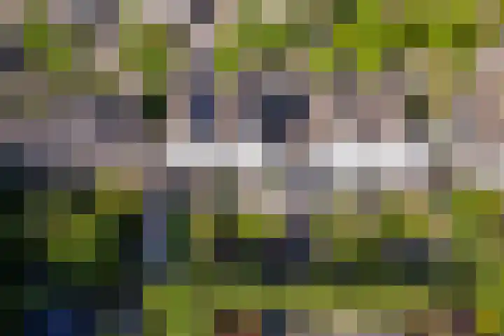 Krommekamp 320 Harderwijk thumbnail 43