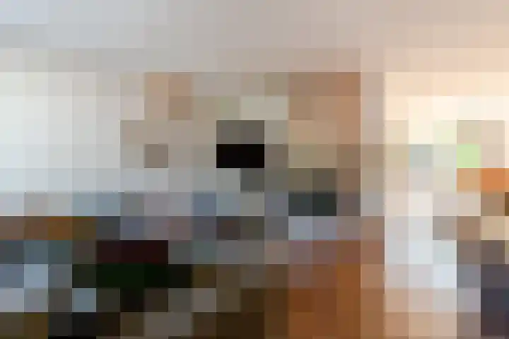 Krommekamp 320 Harderwijk thumbnail 7