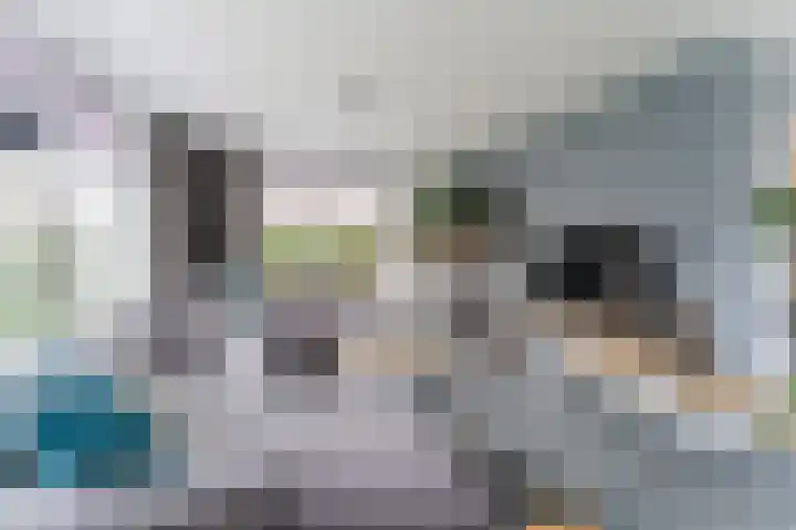 Krommekamp 77 Harderwijk thumbnail 12