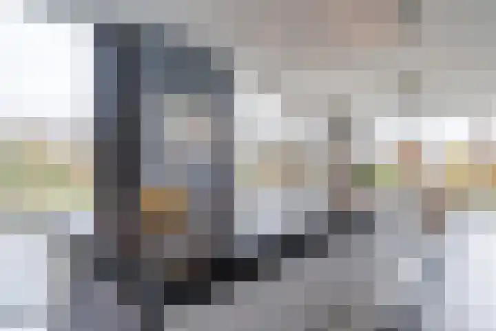 Krommekamp 77 Harderwijk thumbnail 21