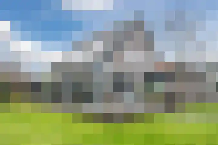 Krommekamp 77 Harderwijk thumbnail 58