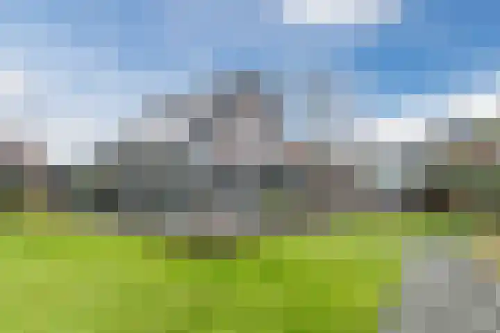 Krommekamp 77 Harderwijk thumbnail 59
