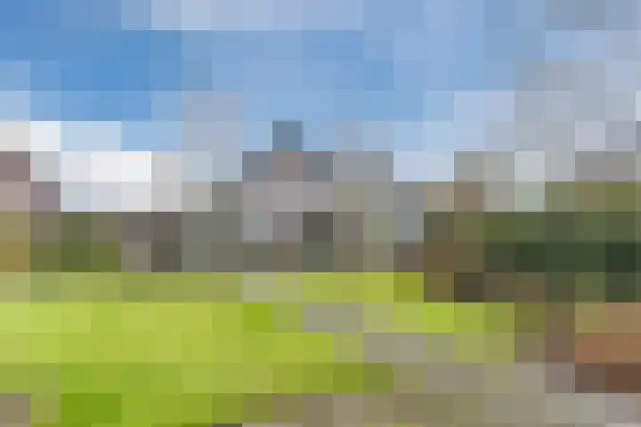 Krommekamp 77 Harderwijk thumbnail 60