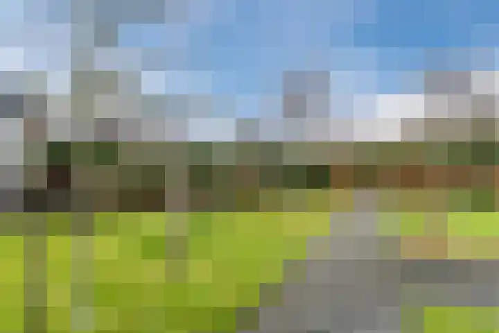 Krommekamp 77 Harderwijk thumbnail 65