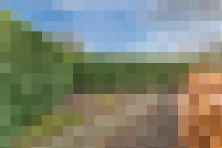 Krommekamp 77 Harderwijk thumbnail 66