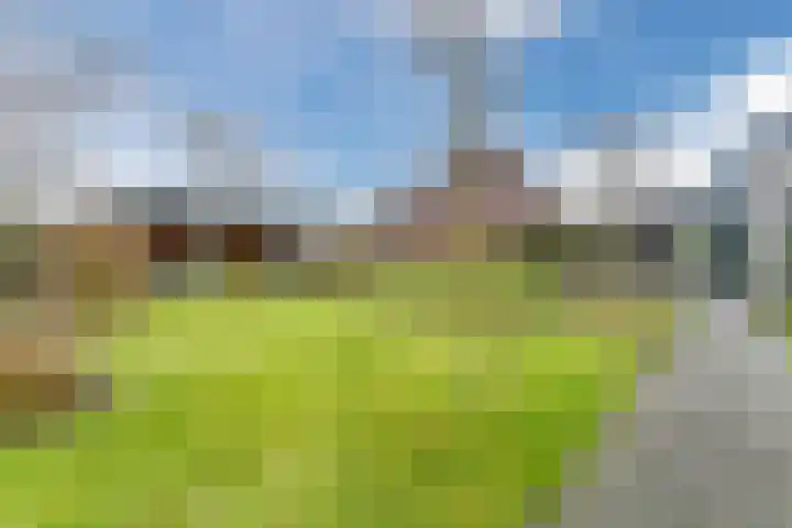 Krommekamp 77 Harderwijk thumbnail 67