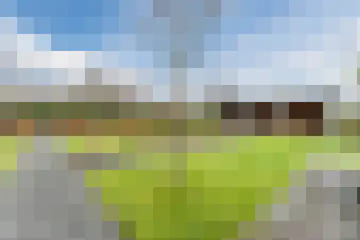 Krommekamp 77 Harderwijk thumbnail 68
