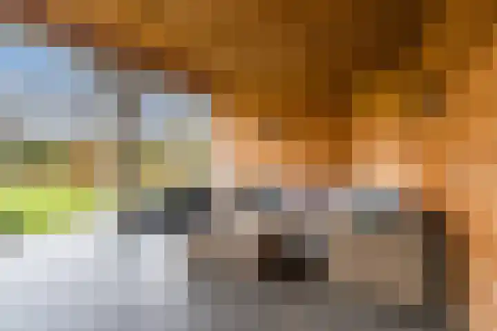 Krommekamp 77 Harderwijk thumbnail 71
