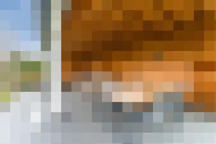Krommekamp 77 Harderwijk thumbnail 72