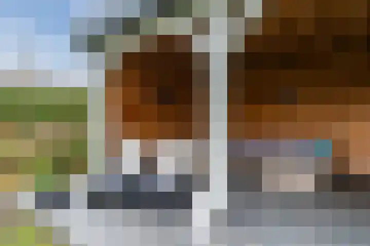 Krommekamp 77 Harderwijk thumbnail 74