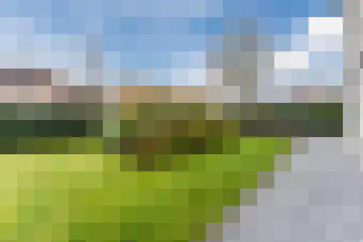 Krommekamp 77 Harderwijk thumbnail 78