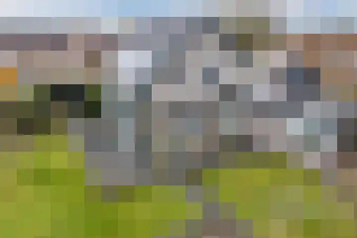 Krommekamp 77 Harderwijk thumbnail 81