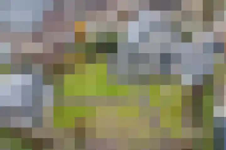 Krommekamp 77 Harderwijk thumbnail 83