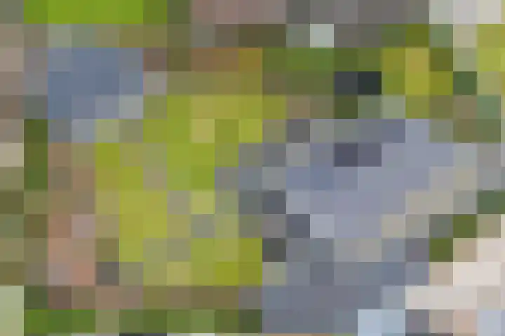 Krommekamp 77 Harderwijk thumbnail 85