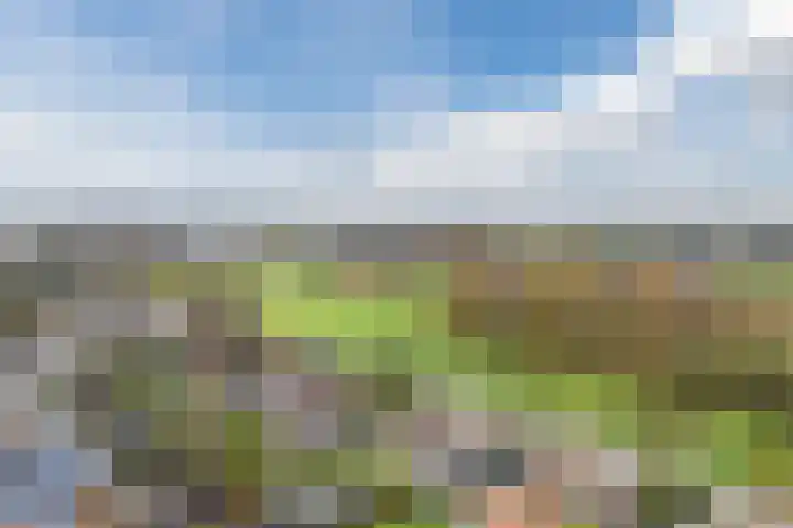 Krommekamp 77 Harderwijk thumbnail 87
